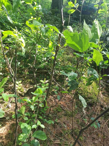 PA_AT_KOB_otheractivitysignphoto_20220613154258704