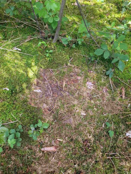 PA_AT_KOB_otheractivitysignphoto_20220613165701146