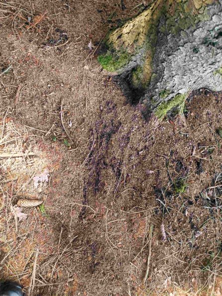 PA_AT_KOB_otheractivitysignphoto_20220613170257262