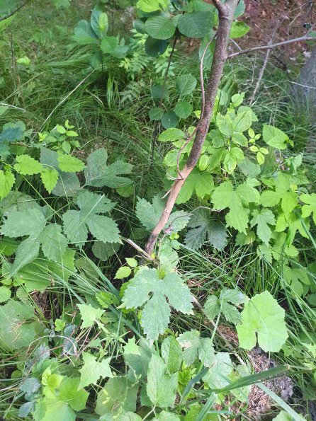 PA_AT_KOB_otheractivitysignphoto_20220613170938507