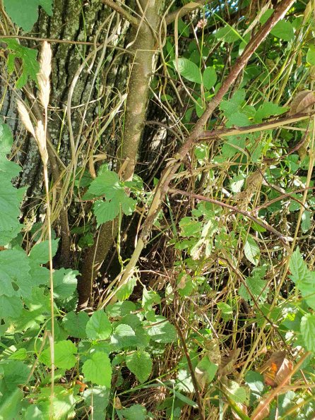 PA_AT_KOB_otheractivitysignphoto_20220906161644400