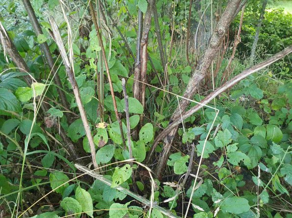 PA_AT_KOB_otheractivitysignphoto_20220906162752408