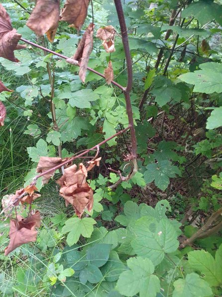 PA_AT_KOB_otheractivitysignphoto_20220906174800829