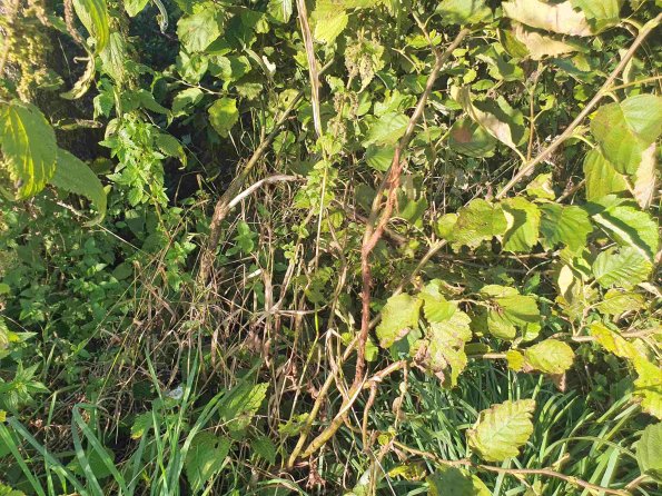 PA_AT_KOB_otheractivitysignphoto_20220906181021281