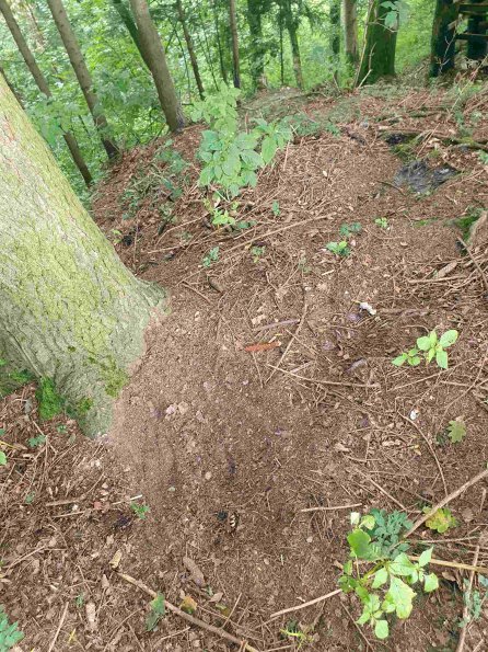 PA_AT_KOB_otheractivitysignphoto_20220907100420523