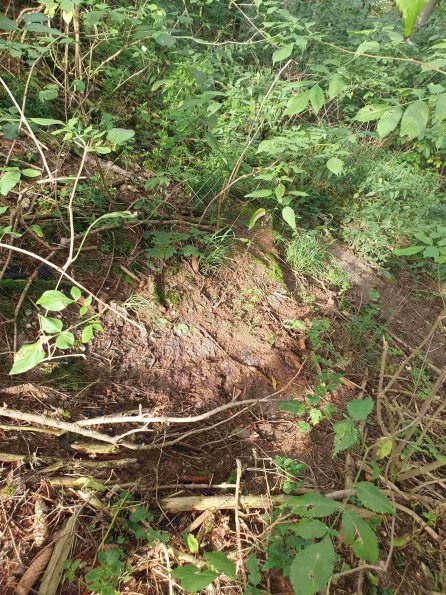 PA_AT_KOB_otheractivitysignphoto_20220907100714769