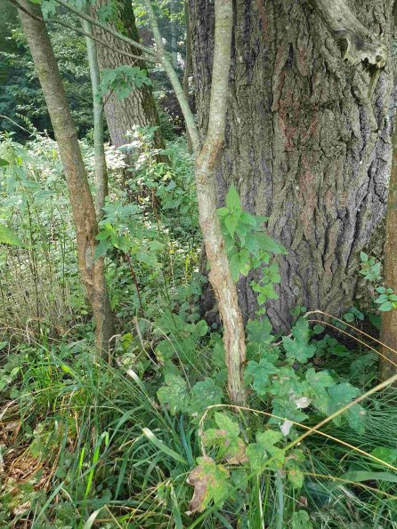 PA_AT_KOB_otheractivitysignphoto_20220907103501234