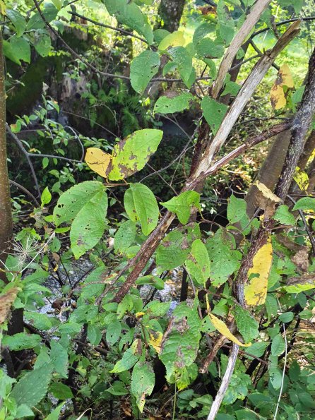 PA_AT_KOB_otheractivitysignphoto_20220907103907592