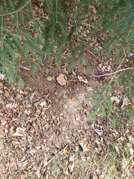 PA_AT_KOB_otheractivitysignphoto_20220907112350319