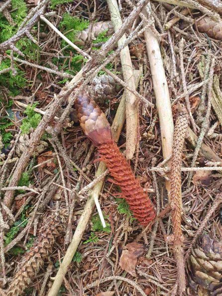 PA_AT_KOB_otheractivitysignphoto_20220907114136652