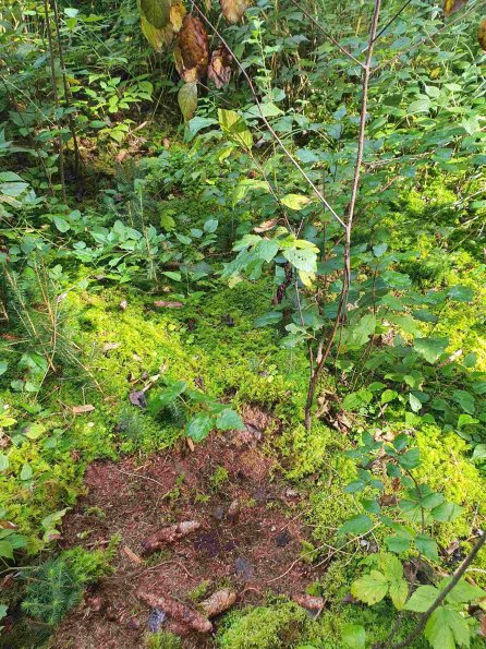 PA_AT_KOB_otheractivitysignphoto_20220907114303839