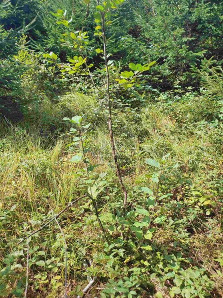 PA_AT_KOB_otheractivitysignphoto_20220907115256054