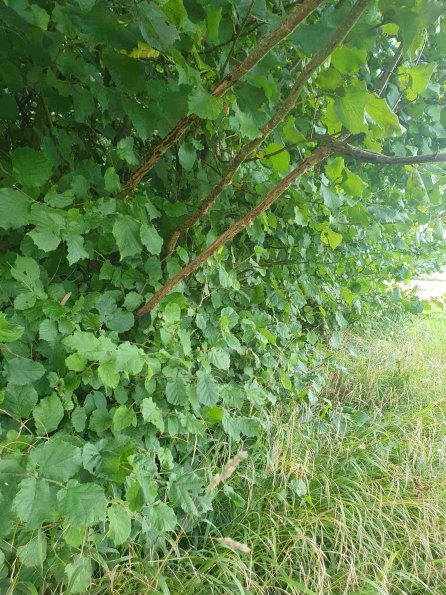 PA_AT_KOB_otheractivitysignphoto_20220907122034912