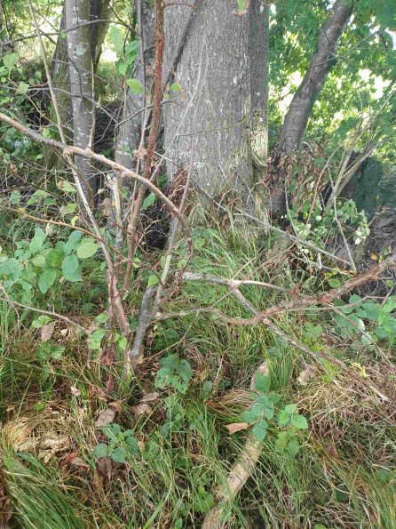 PA_AT_KOB_otheractivitysignphoto_20220907123631415