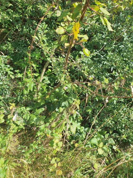 PA_AT_KOB_otheractivitysignphoto_20220907130052450