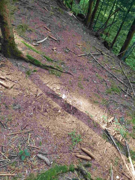 PA_AT_KOB_otheractivitysignphoto_20220907141507392