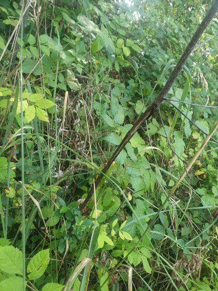 PA_AT_KOB_otheractivitysignphoto_20220907143729686