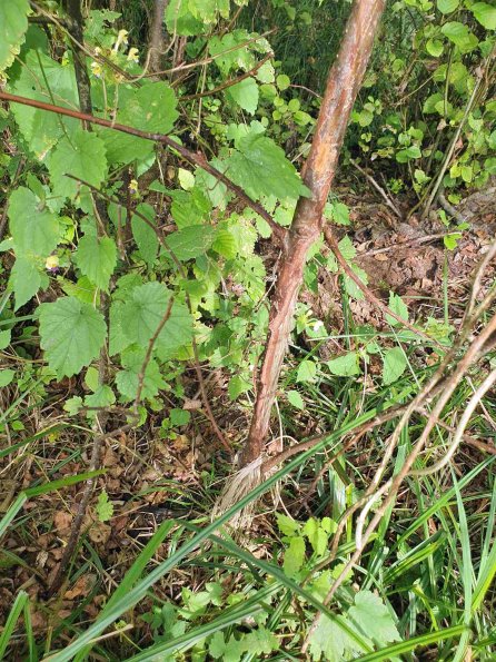 PA_AT_KOB_otheractivitysignphoto_20220907154546950