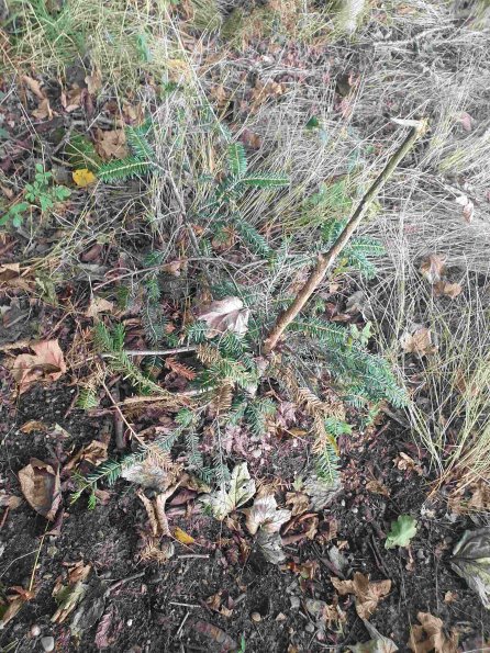 PA_AT_KOB_otheractivitysignphoto_20220907162238381