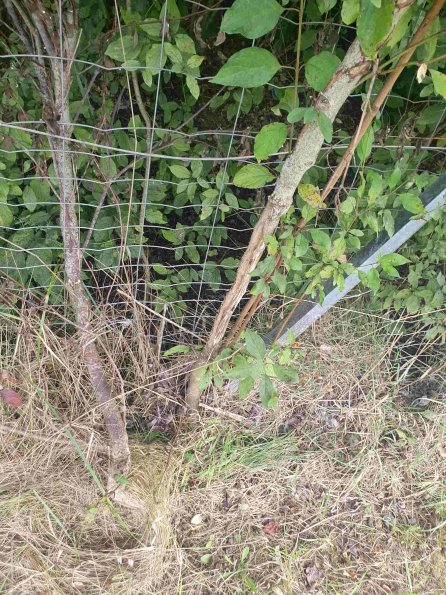 PA_AT_KOB_otheractivitysignphoto_20220907163157436