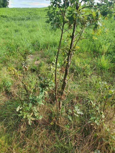 PA_AT_KOB_otheractivitysignphoto_20220907164428658