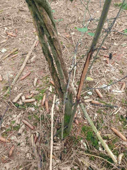 PA_AT_KOB_otheractivitysignphoto_20220907165754045