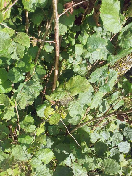 PA_AT_KOB_otheractivitysignphoto_20220907173214613