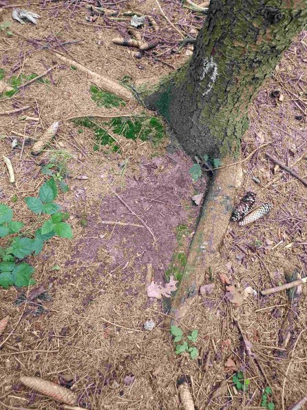 PA_AT_KOB_otheractivitysignphoto_20220907173419101