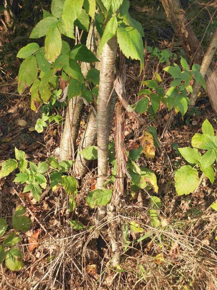 PA_AT_KOB_otheractivitysignphoto_20220907182650883