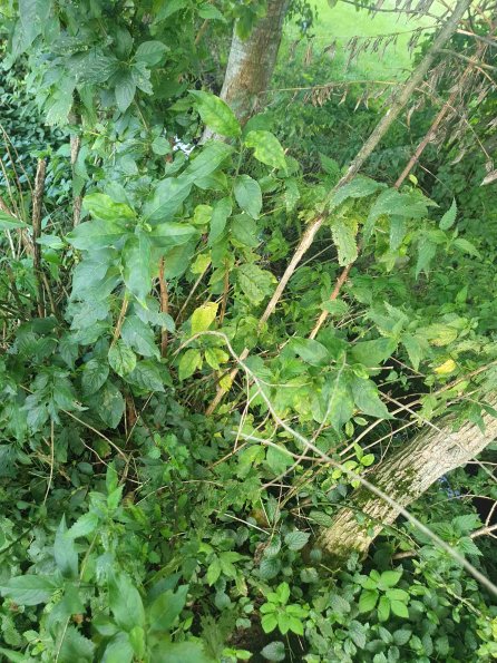 PA_AT_KOB_otheractivitysignphoto_20220907182959814