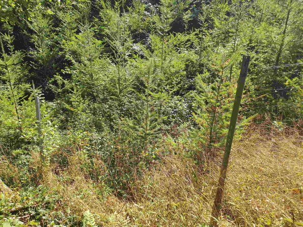 PA_AT_KOB_photobarrier_20210925124201202