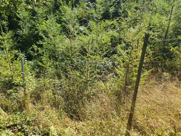 PA_AT_KOB_photobarrier_20210925124201202