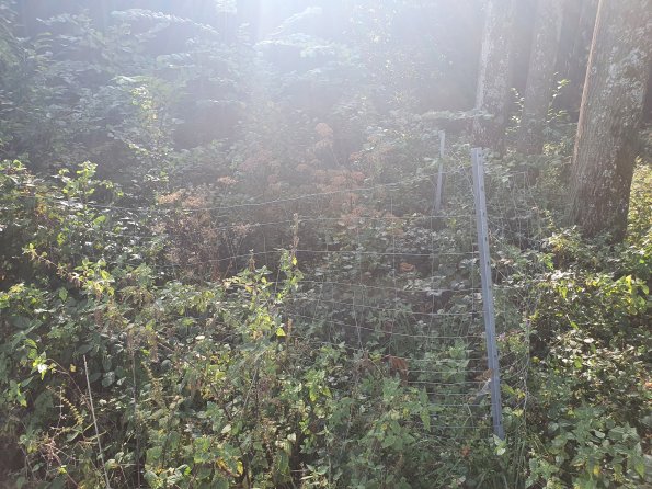 PA_AT_KOB_photobarrier_20210926102942359