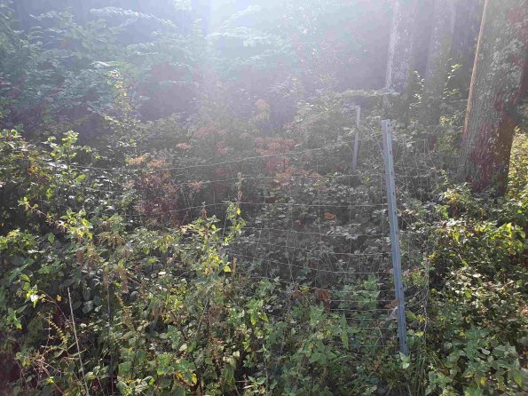 PA_AT_KOB_photobarrier_20210926102942359