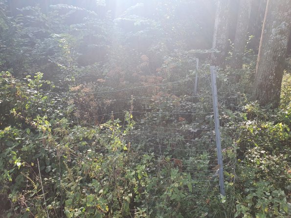 PA_AT_KOB_photobarrier_20210926102942359