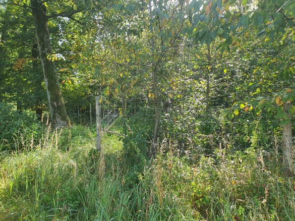 PA_AT_KOB_photobarrier_20210926104006981