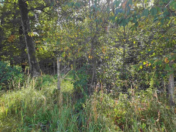 PA_AT_KOB_photobarrier_20210926104006981