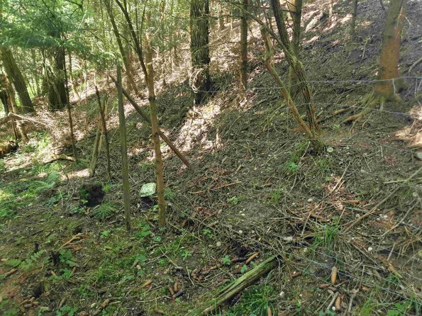 PA_AT_KOB_photobarrier_20220611140802221