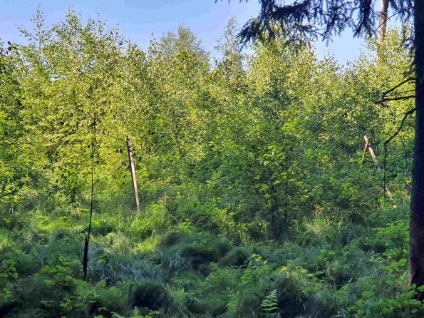 PA_AT_KOB_photobarrier_20220611155956319