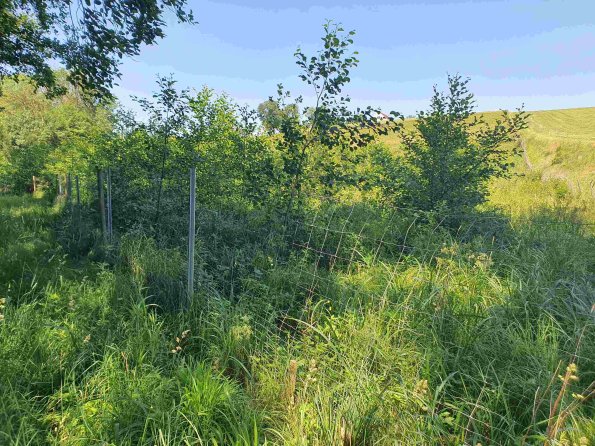 PA_AT_KOB_photobarrier_20220612120210221