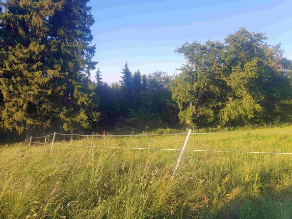 PA_AT_KOB_photobarrier_20220612192814426