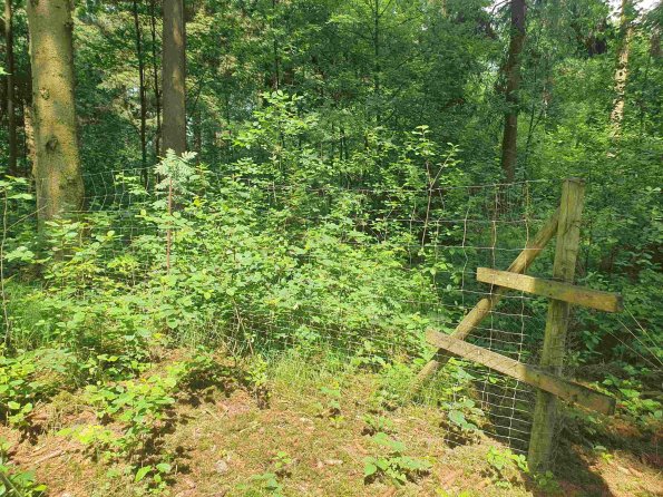 PA_AT_KOB_photobarrier_20220613113302056