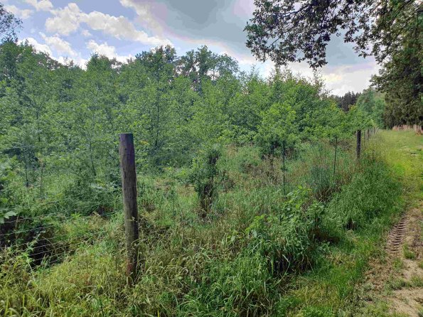 PA_AT_KOB_photobarrier_20220613134707343