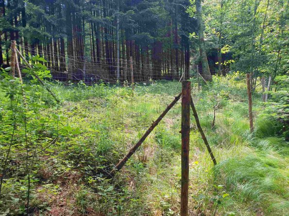 PA_AT_KOB_photobarrier_20220613145539360