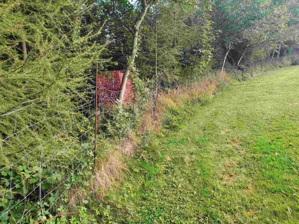 PA_AT_KOB_photobarrier_20220907101813306