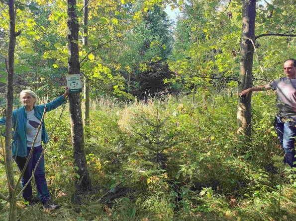 PA_AT_KOB_spatialcommentphoto_20210926113107234