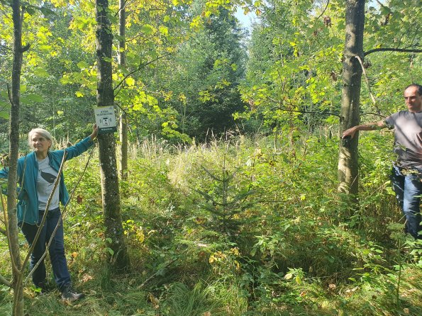 PA_AT_KOB_spatialcommentphoto_20210926113107234