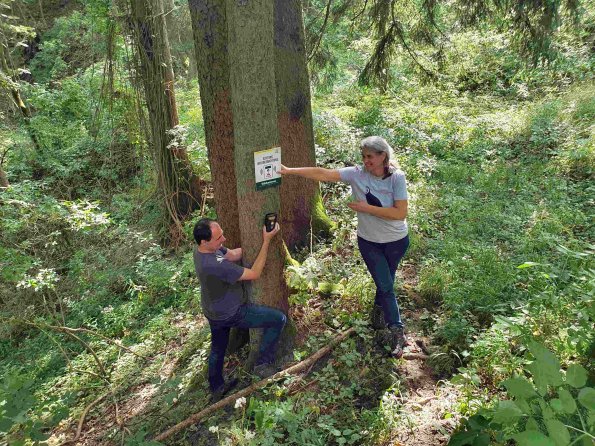 PA_AT_KOB_spatialcommentphoto_20210926130053755