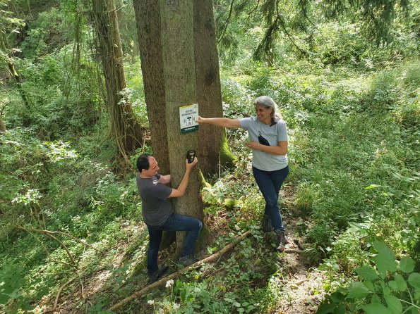 PA_AT_KOB_spatialcommentphoto_20210926130053755