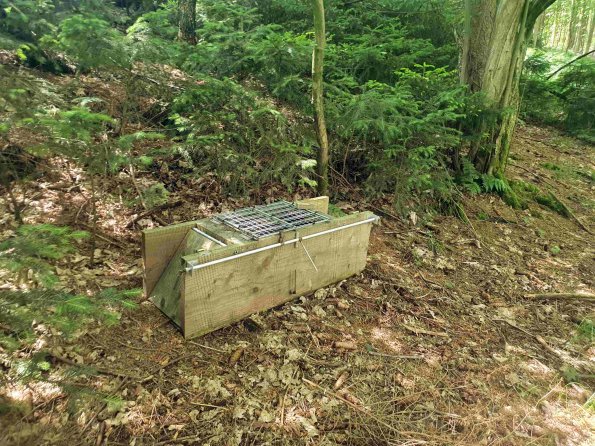 PA_AT_KOB_spatialcommentphoto_20220611130350806